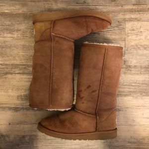 Tall chestnut uggs